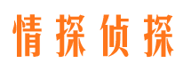 临潭市侦探调查公司